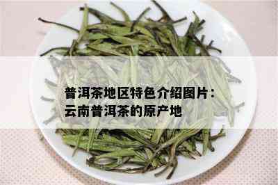 普洱茶地区特色介绍图片：云南普洱茶的原产地