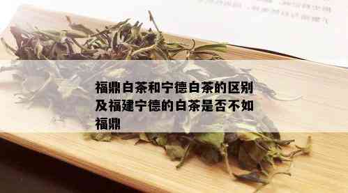 福鼎白茶和宁德白茶的区别及福建宁德的白茶是否不如福鼎