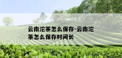 云南沱茶怎么保存-云南沱茶怎么保存时间长