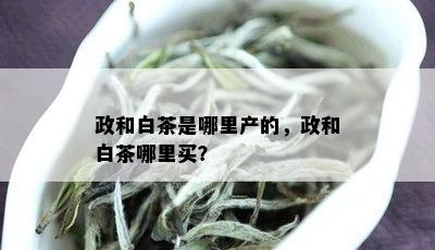 政和白茶是哪里产的，政和白茶哪里买？