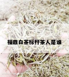 福鼎白茶标杆茶人是谁