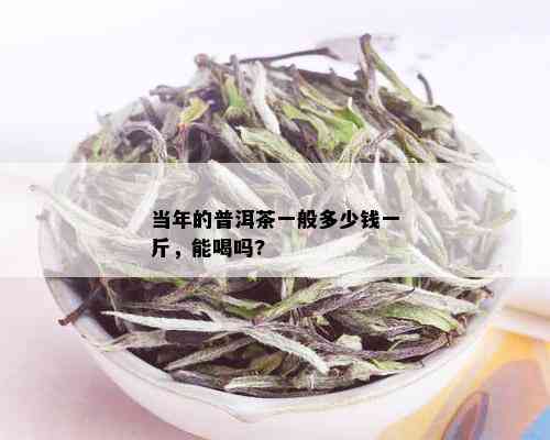 当年的普洱茶一般多少钱一斤，能喝吗?