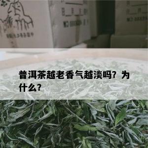 普洱茶越老香气越淡吗？为什么？