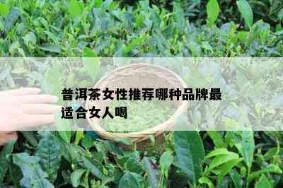 普洱茶女性推荐哪种品牌最适合女人喝