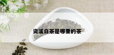 资溪白茶是哪里的茶