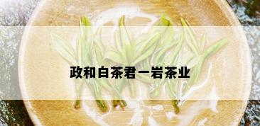 政和白茶君一岩茶业