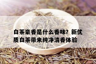 白茶豪香是什么香味？新优质白茶带来纯净清香体验