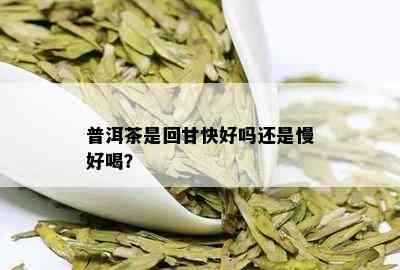 普洱茶是回甘快好吗还是慢好喝？