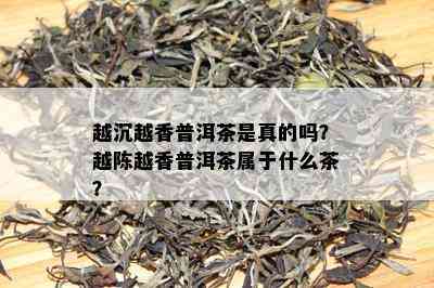 越沉越香普洱茶是真的吗？越陈越香普洱茶属于什么茶？