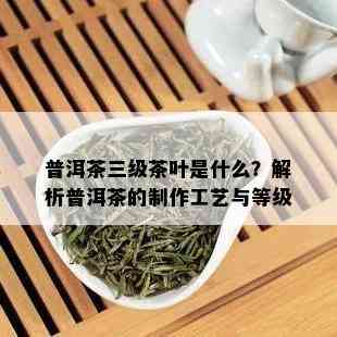 普洱茶三级茶叶是什么？解析普洱茶的制作工艺与等级