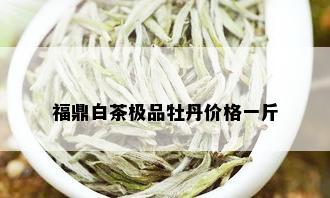 福鼎白茶极品牡丹价格一斤