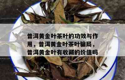 普洱黄金叶茶叶的功效与作用，普洱黄金叶茶叶骗局，普洱黄金叶有收藏的价值吗