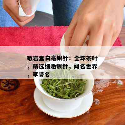 敬岩堂白毫银针：全球茶叶，精选细嫩银针，闻名世界，享誉名