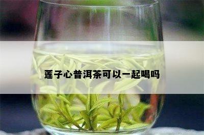 莲子心普洱茶可以一起喝吗