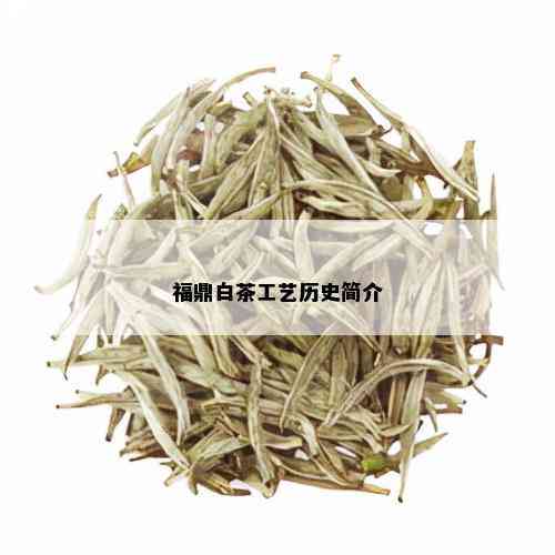 福鼎白茶工艺历史简介