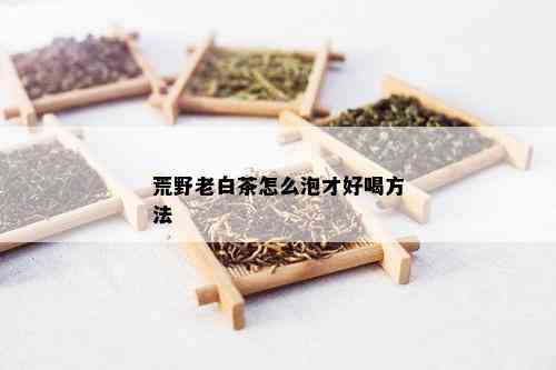 荒野老白茶怎么泡才好喝方法