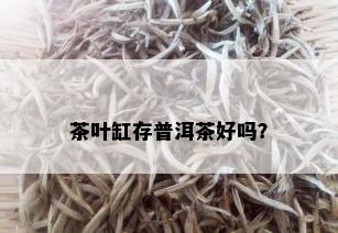 茶叶缸存普洱茶好吗？