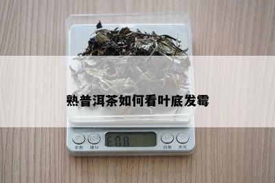 熟普洱茶如何看叶底发霉