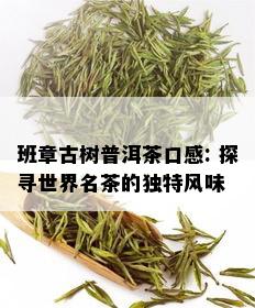 班章古树普洱茶口感: 探寻世界名茶的独特风味