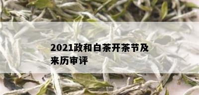 2021政和白茶开茶节及来历审评