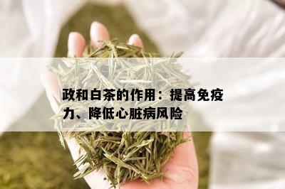 政和白茶的作用：提高免疫力、降低心脏病风险