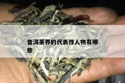 普洱茶界的代表性人物有哪些