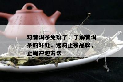 对普洱茶免疫了：了解普洱茶的好处，选购正宗品牌，正确冲泡方法