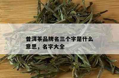 普洱茶品牌名三个字是什么意思，名字大全