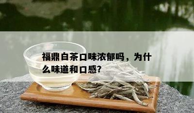 福鼎白茶口味浓郁吗，为什么味道和口感？