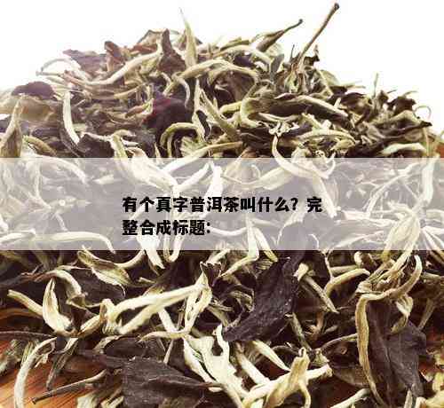 有个真字普洱茶叫什么？完整合成标题: 