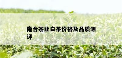 隆合茶业白茶价格及品质测评