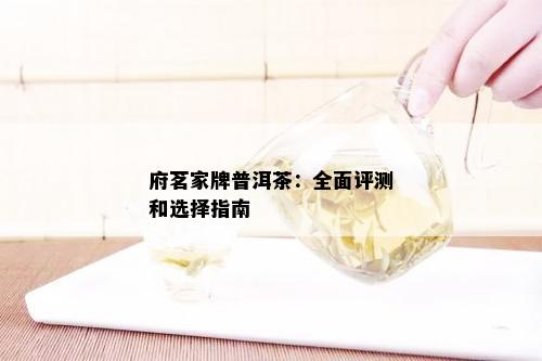 府茗家牌普洱茶：全面评测和选择指南