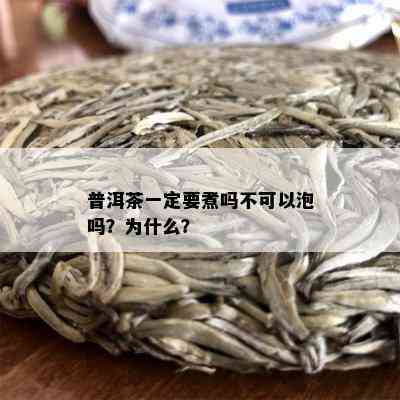 普洱茶一定要煮吗不可以泡吗？为什么？