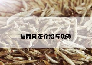 福鼎白茶介绍与功效