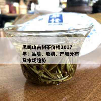 凤鸣山古树茶价格2017年：品质、收购、产地分布及市场趋势