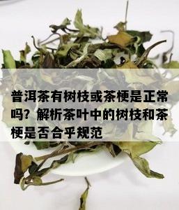 普洱茶有树枝或茶梗是正常吗？解析茶叶中的树枝和茶梗是否合乎规范