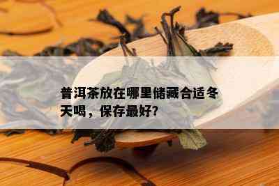 普洱茶放在哪里储藏合适冬天喝，保存更好？