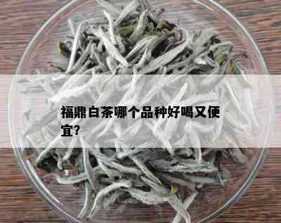 福鼎白茶哪个品种好喝又便宜？