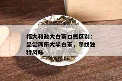 福大和政大白茶口感区别：品尝两所大学白茶，寻找独特风味