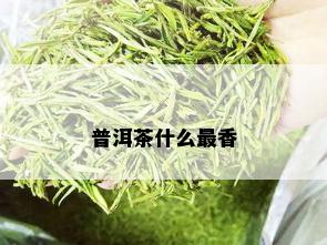 普洱茶什么最香