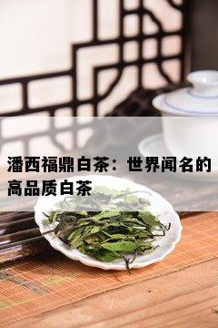 潘西福鼎白茶：世界闻名的高品质白茶