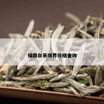 福鼎白茶境界价格查询