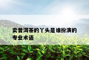 卖普洱茶的丫头是谁扮演的专业术语