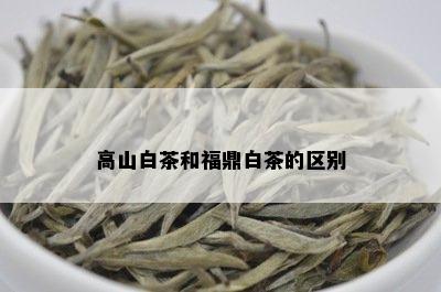 高山白茶和福鼎白茶的区别