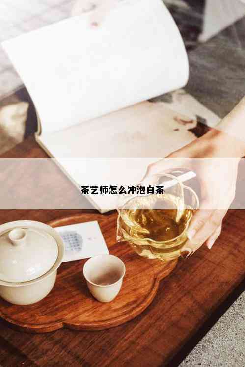 茶艺师怎么冲泡白茶