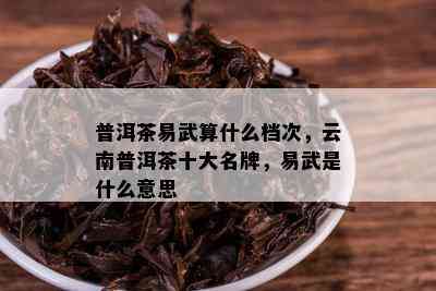 普洱茶易武算什么档次，云南普洱茶十大名牌，易武是什么意思