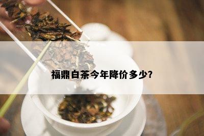 福鼎白茶今年降价多少？