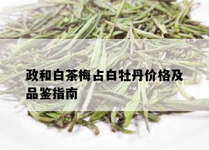 政和白茶梅占白牡丹价格及品鉴指南