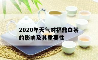 2020年天气对福鼎白茶的影响及其重要性