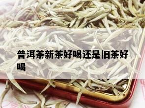 普洱茶新茶好喝还是旧茶好喝